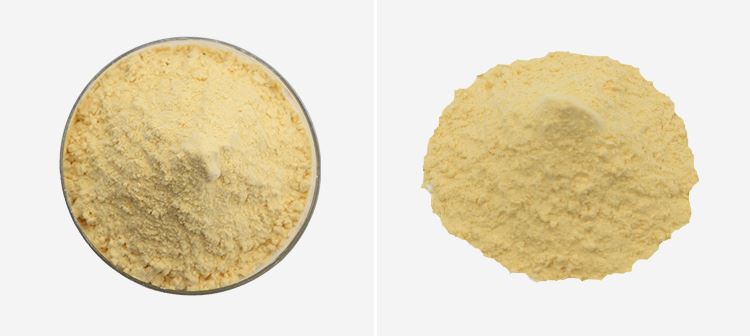 Passion Fruit Juice Powder 2