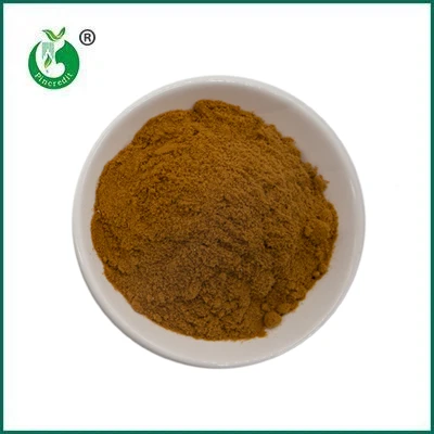 Pincredit Hot Sale אבקת תמצית פטריות אורגנית